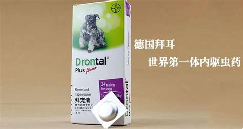 拜寵清使用方法(拜寵清使用方法和注意事項(xiàng))縮略圖