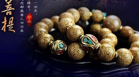 菩提子的種類及圖片,菩提子的種類及圖片欣賞縮略圖