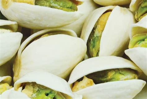 開心果產(chǎn)地是哪里(開心果產(chǎn)地是哪里最好)縮略圖