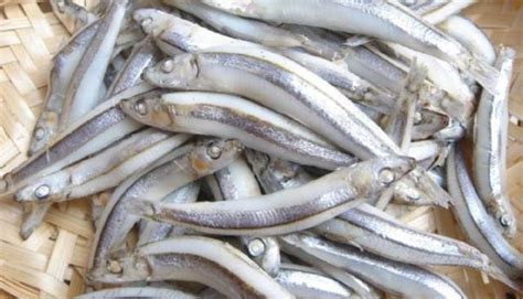 丁香魚干多少錢一斤(丁香魚干價格大概多少)縮略圖