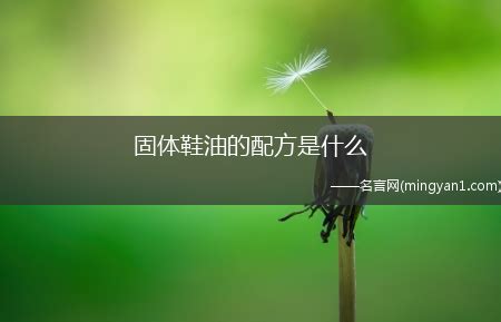 鞋油的成分(鞋油的成分跟護(hù)手霜一樣嗎)縮略圖