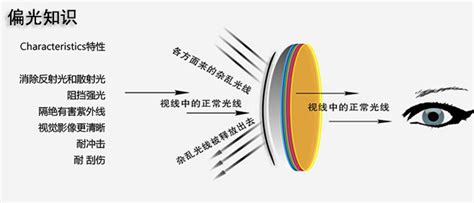 偏光鏡適合什么人戴(偏光鏡晚上可以戴嗎)縮略圖