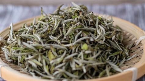 白茶是屬于什么茶類(白茶是屬于什么茶類白茶的功效)縮略圖