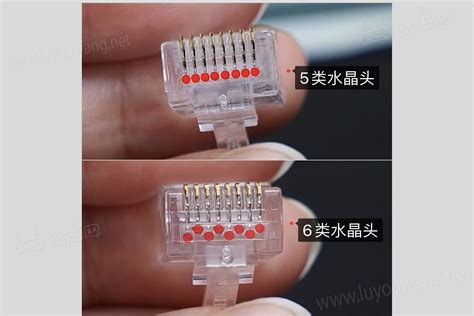 網(wǎng)線水晶頭排線圖片(網(wǎng)線水晶頭排線圖片順序)縮略圖