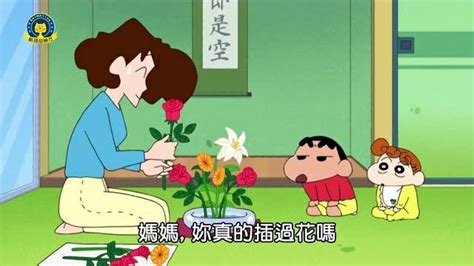蠟筆小新第9季全合集(蠟筆小新第9季全合集免費觀看)縮略圖