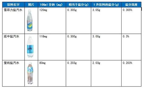 鹽汽水做法,鹽汽水做法全過程縮略圖