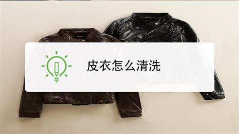 皮衣發(fā)霉了應(yīng)該怎么清洗處理(皮衣發(fā)霉正確清洗方法)縮略圖